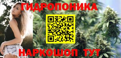 индика Коммунар